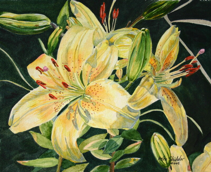 Yellow Lilly (700x570, 515Kb)