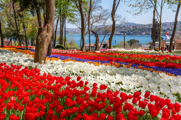 istockphoto-1126883192-612x612 (900x708, 90Kb)