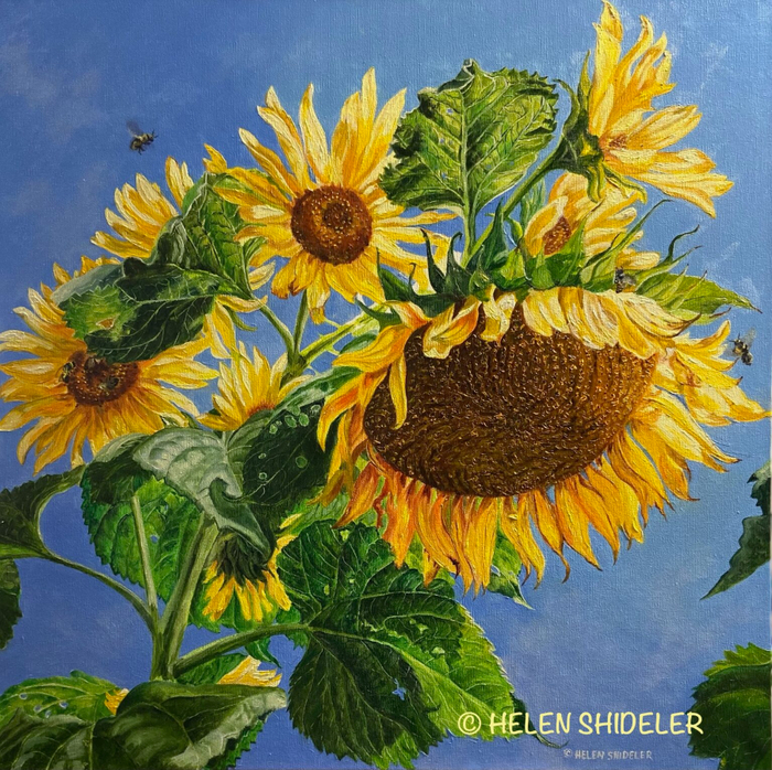 Dances-With-the-Sun-_HelenShideler-1536x1532 (700x698, 708Kb)