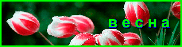 5159196_Yl0KkClbGEyC (593x153, 1500Kb)