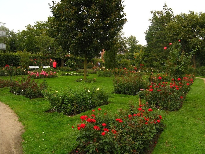 Uetersen_rosarium_kleinueberblick (900x725, 200Kb)