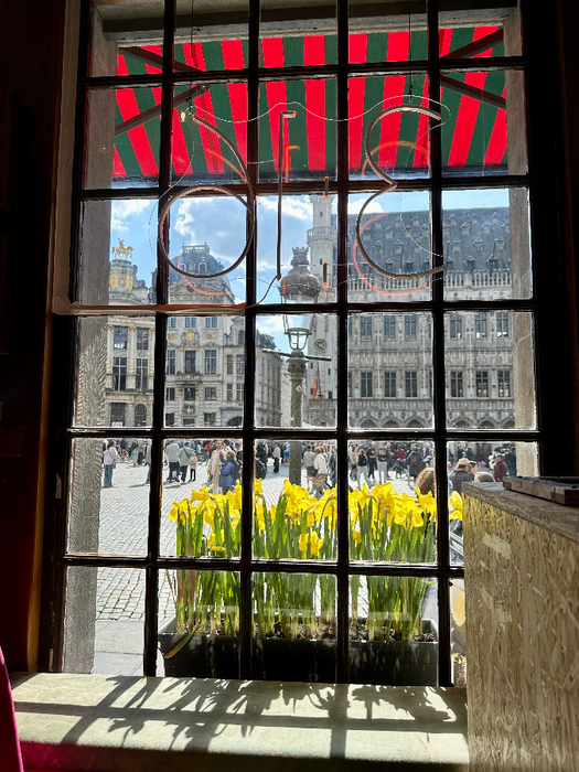 IMG_9117 (525x700, 497Kb)