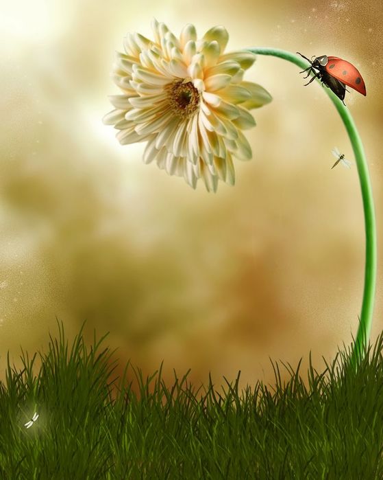 6e057754e5e8a03dcf610b453d00bde5 (559x700, 48Kb)