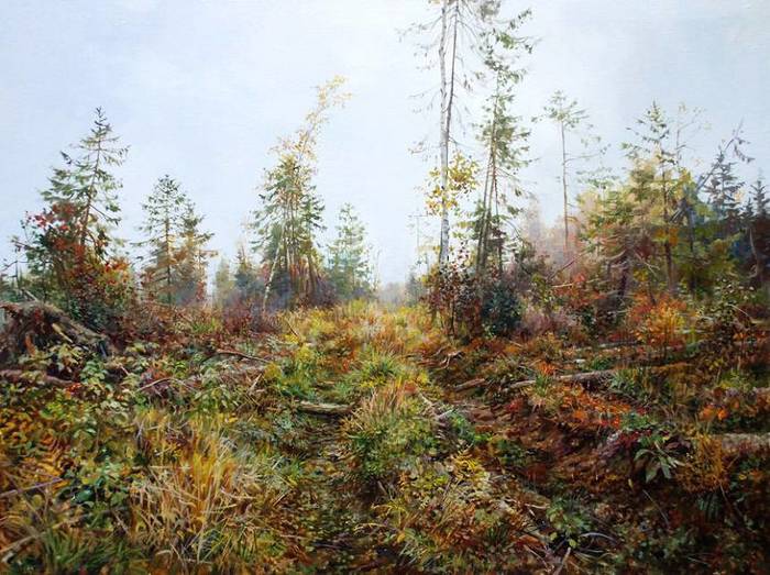 bjezovskij (20) (700x523, 76Kb)