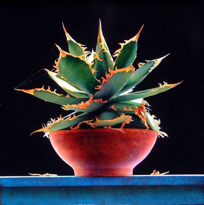 Ottorino De Lucchi - Tutt'Art@ (18) (698x700, 451Kb)