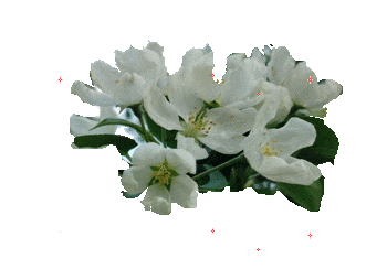 oie_trans (1) (350x244, 502Kb)