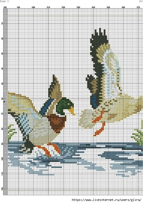 3,6 (494x700, 305Kb)