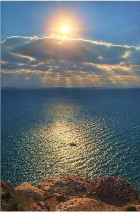 IMG_20250512_053028 (458x700, 92Kb)