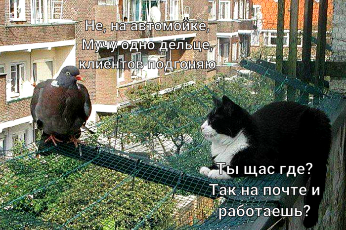  (700x466, 830Kb)
