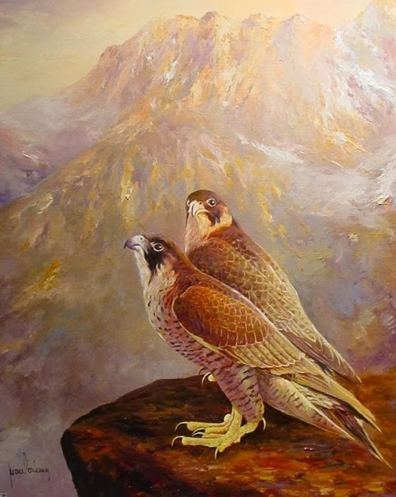 158264538_Halcones (558x699, 387Kb)