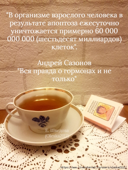 quote-2025-05-19-32cb19d57c39da312bfcd4f3ecd5cfc7 (524x700, 355Kb)