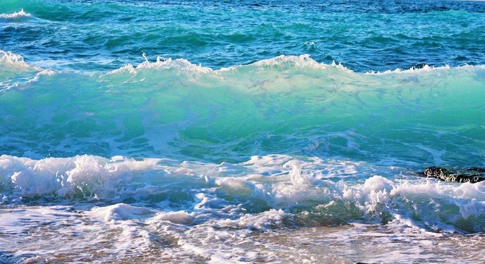 f2d270394832fabae6eb909695cf1805 (700x381, 70Kb)