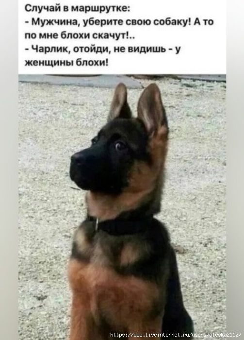 yTYhQZE1TiA (503x700, 164Kb)