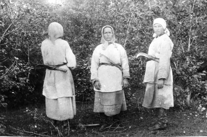 ссср «Женщины на рубке подсеки».Ленинградская губерния, Лодейнопольский уезд, д. Малые Подолы. 1926 (700x464, 211Kb)
