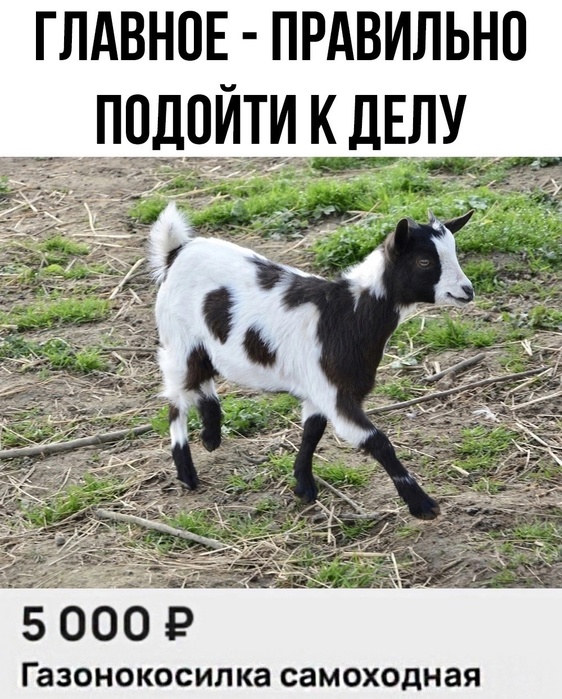 2 (562x700, 185Kb)