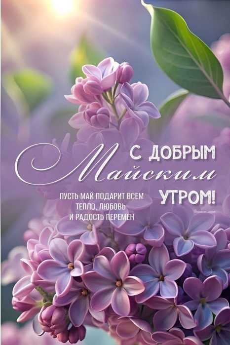 IMG-20250511-WA0027 (466x700, 31Kb)