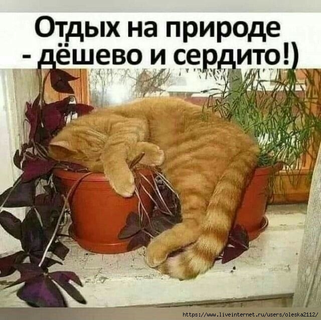  (640x639, 205Kb)