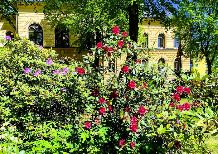 IMG_20250520_124926371_HDR (700x494, 726Kb)