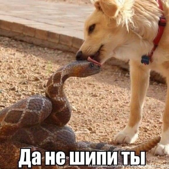   (576x574, 165Kb)