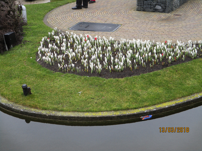 IMG_4048 (700x525, 577Kb)