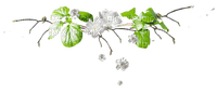 весна цв ветка (200x87, 5Kb)