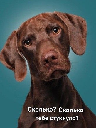 3416556_cc7dea9a88b66a775d2b8ee61f7f5dcd (327x436, 23Kb)
