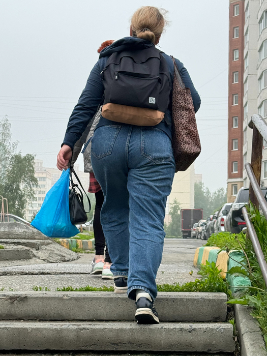 IMG_3750 (525x700, 398Kb)