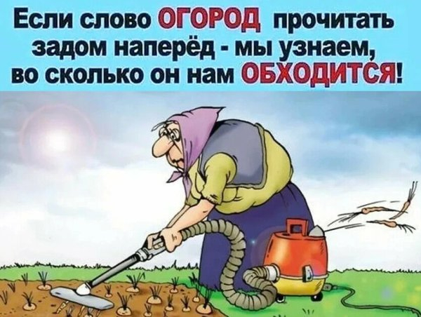 1687398354_kartin-papik-pro-p-kartinki-vesna-ogorod-s-yumorom-25 (600x452, 213Kb)