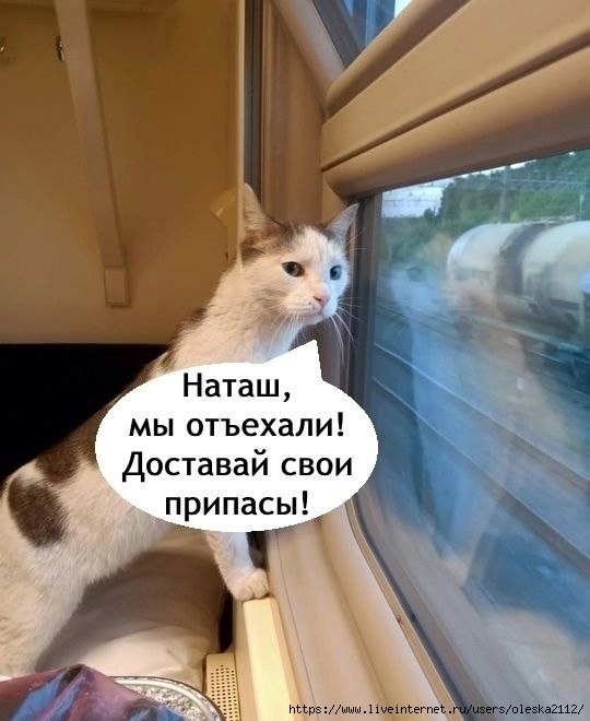 9zCPba8hbCBUOckJkJkVZYgjGwuZBlTOxal2H7DdYdthCBAWwwktNZrf0_tLL09nWckfOt2GqqIAtpS3tPrF42eH (540x660, 146Kb)