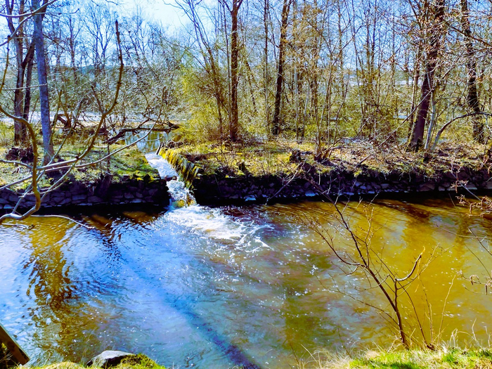 IMG_20250402_140431362_HDR (700x525, 662Kb)