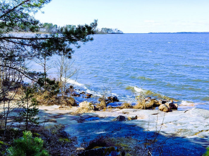 IMG_20250405_135728662_HDR (700x525, 552Kb)