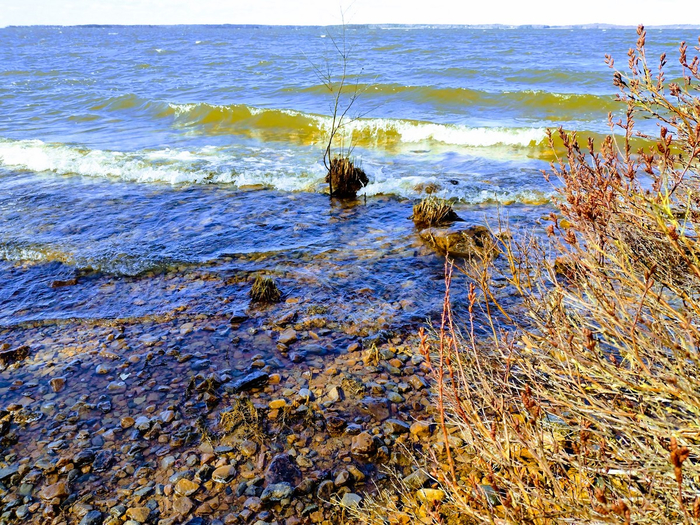IMG_20250405_140638773_HDR (700x525, 651Kb)
