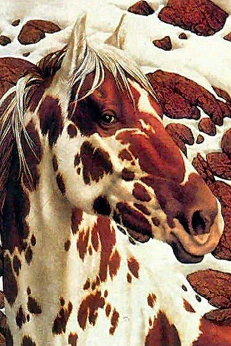 10f2e086bfe15f94d91e4f07b0608d6f (466x700, 394Kb)