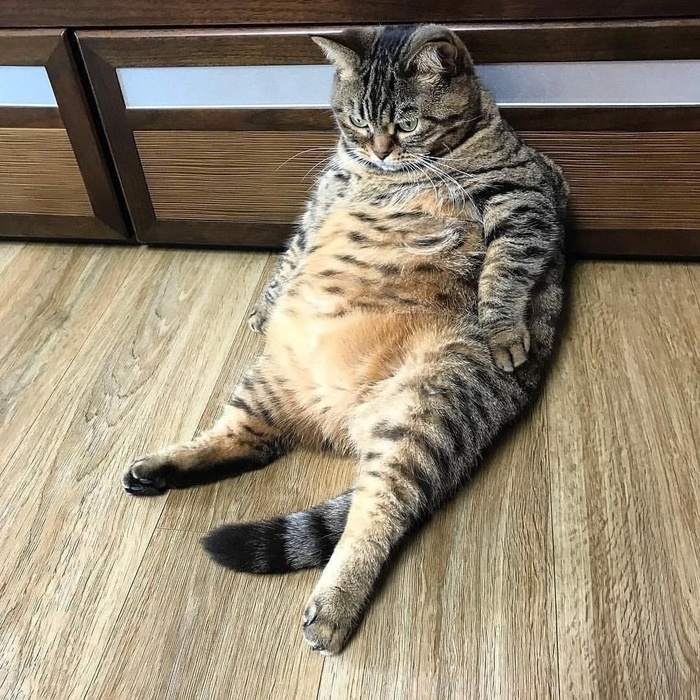  (700x700, 246Kb)