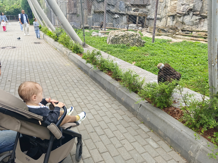 IMG_20250604_100248 (700x525, 553Kb)
