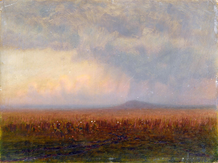 1697789583_priroda-club-p-surikov-step-krasivo-30 (700x523, 411Kb)