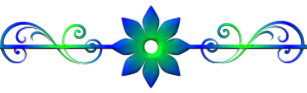 bvvc (307x93, 30Kb)