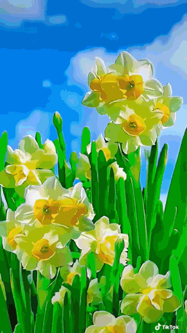 3 (270x480, 3631Kb)