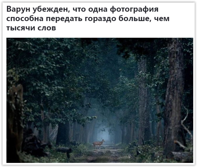 Screen Shot 04-08-25 at 04.37 AM (675x571, 681Kb)