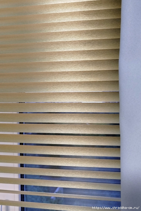   (1) (466x700, 252Kb)