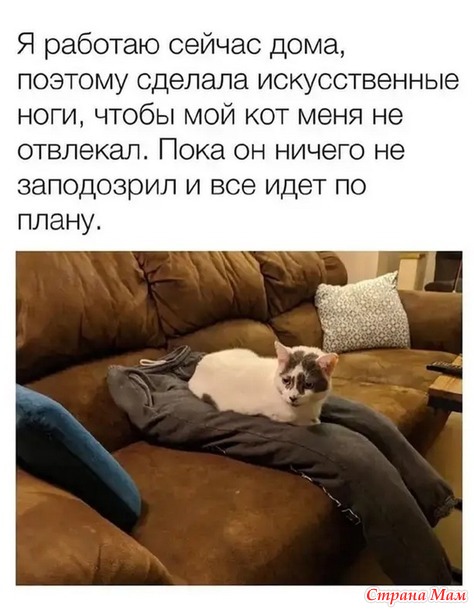 3416556_27887494_13520thumb500 (474x610, 70Kb)