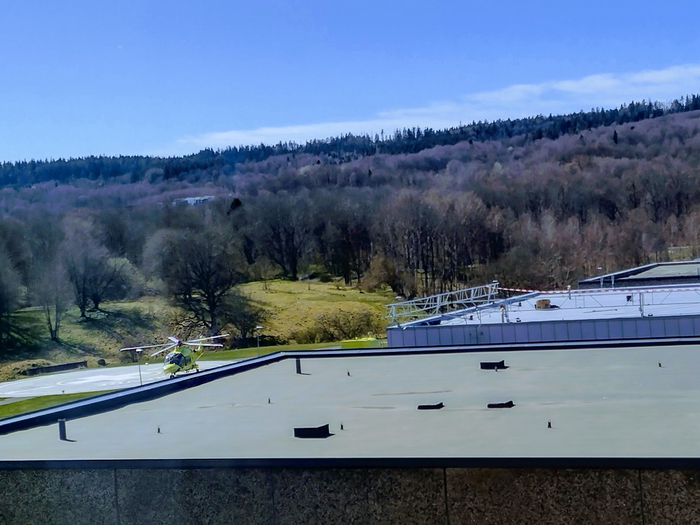 IMG_20250411_144645875_HDR (700x525, 331Kb)