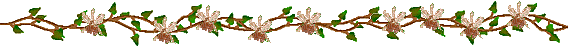 124192799_3cd34771be9d (568x47, 9Kb)