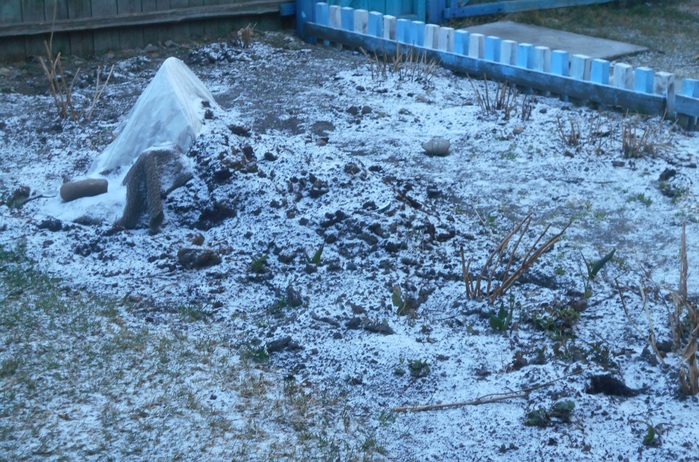 4533467_DSCN74581 (700x462, 188Kb)