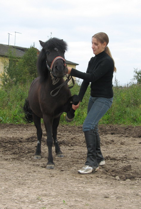f_2591240.jpg