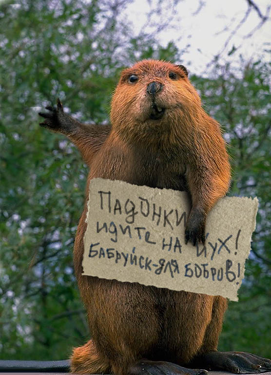 найти человека по сотовому телефону бесплатно За письменный найти человека по сотовому телефону бесплатно радовало, что к