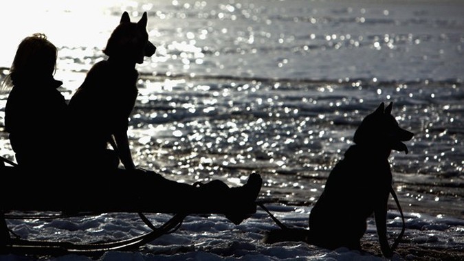 27- Aviemore Husky (Loch Morlich), , 21-23 2010 . 27- Aviemore Husky (Loch Morlich), , 21-23 2010 .