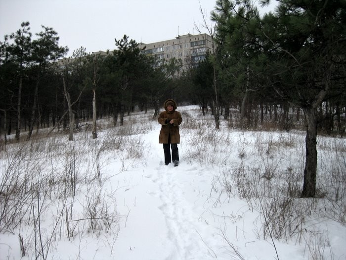 Прогулка в наш зимний лес. 
