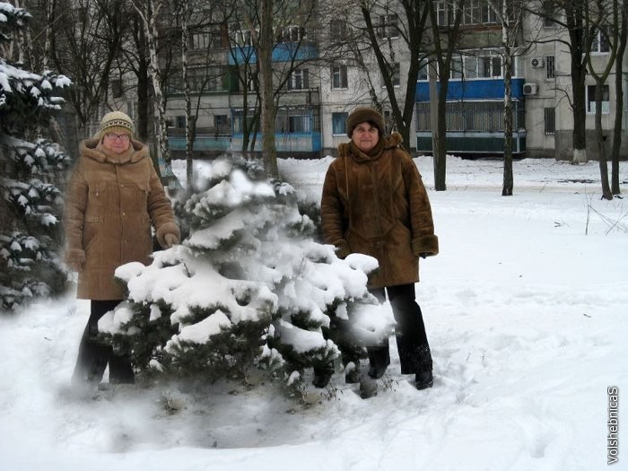 Прогулка в наш зимний лес. 