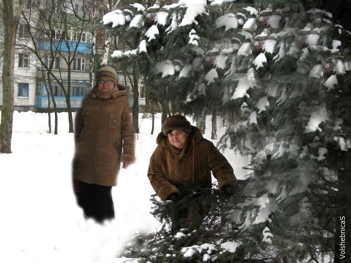 Прогулка в наш зимний лес. 